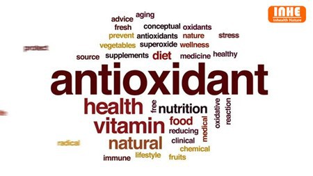 Antioxidant-Epicatechine Powder
