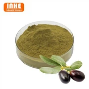 Olivenblatt -Extraktpulver