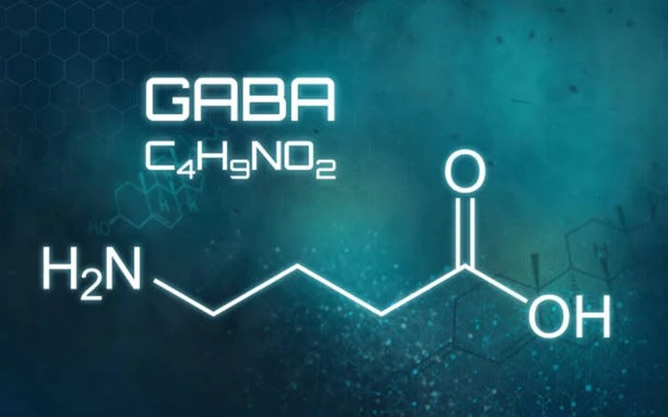 Kennen Sie GABA wirklich genau?