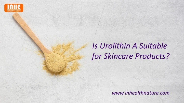 Is Urolithin A Suitable for Skincare Products Is Urolithin A Suitable for Skincare Products