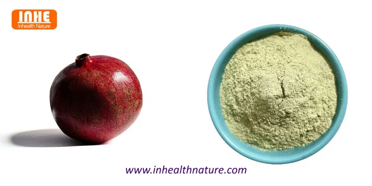 Pomegranate Fruit and Urolithin A Bulk Powder Pomegranate Fruit and Urolithin A Bulk Powder