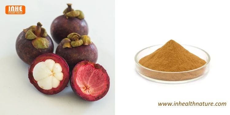 Mangosteen and Mangosteen Powder