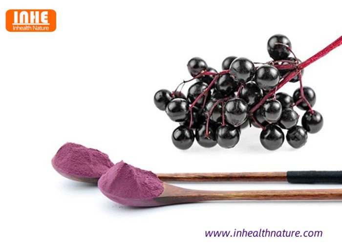 Elderberry Extract Powder Elderberry Extract Powder
