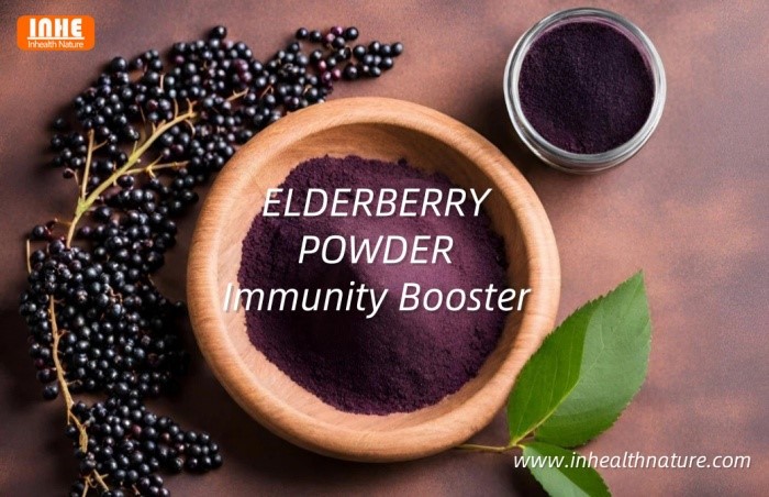 Mighty Health Benefits of Elderberry Extract Powder Mighty Health Benefits of Elderberry Extract Powder