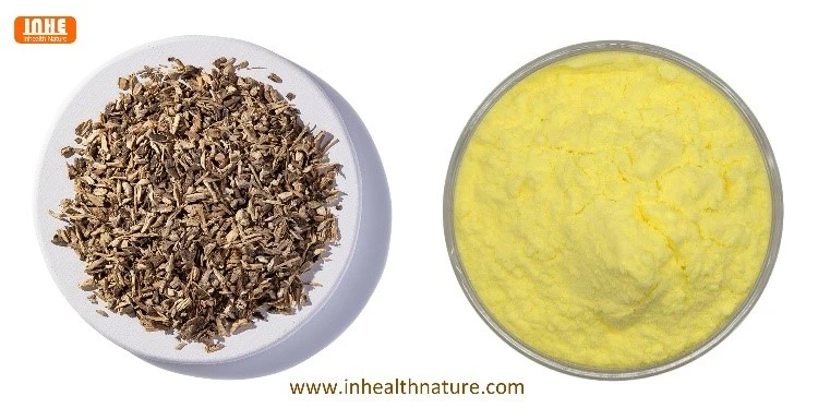 Kava Roots and Kava Root Extract Powder