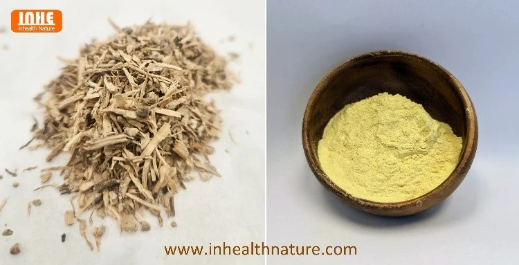 Dried Kava Roots and Kava Root Powder